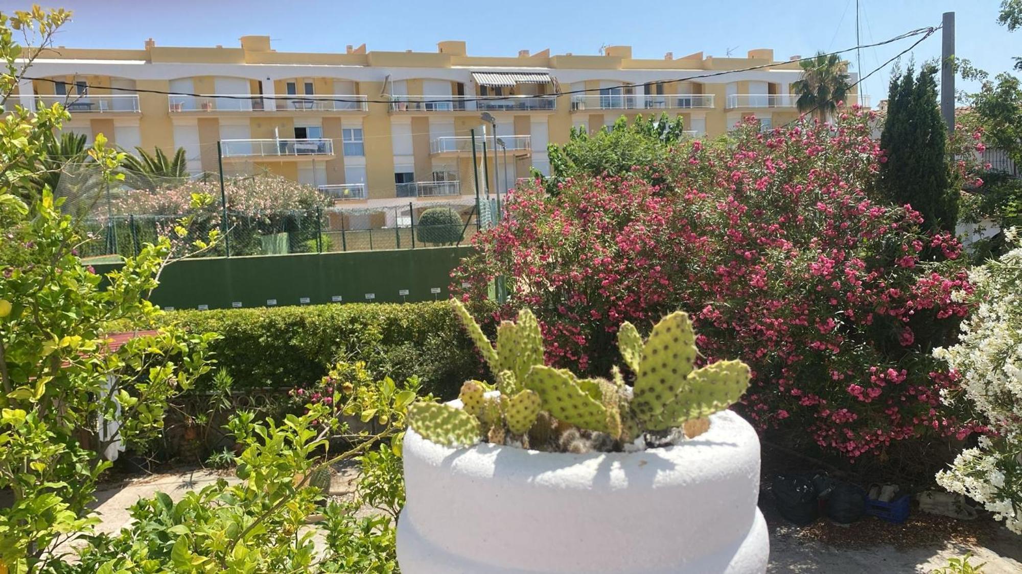 Chalet Denia Playa Primera Linea Eksteriør bilde